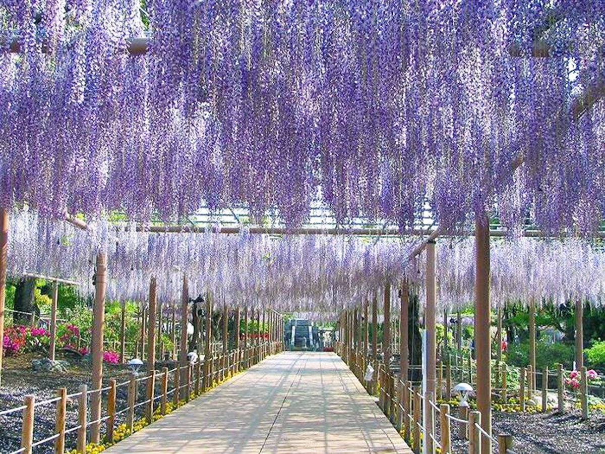 🌸 만다라지 공원(만다라지 코엔) 이미지 1